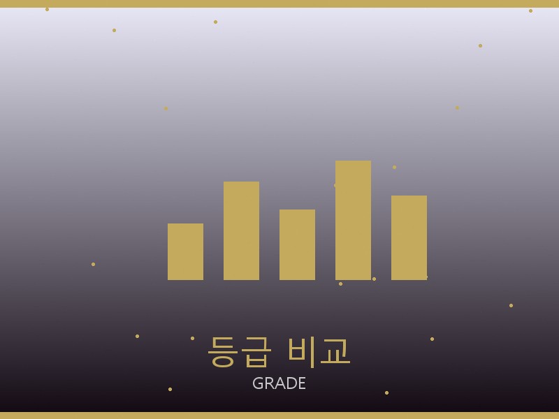 이자벨 마랑 레플리카 사이트 등급 기준 비교